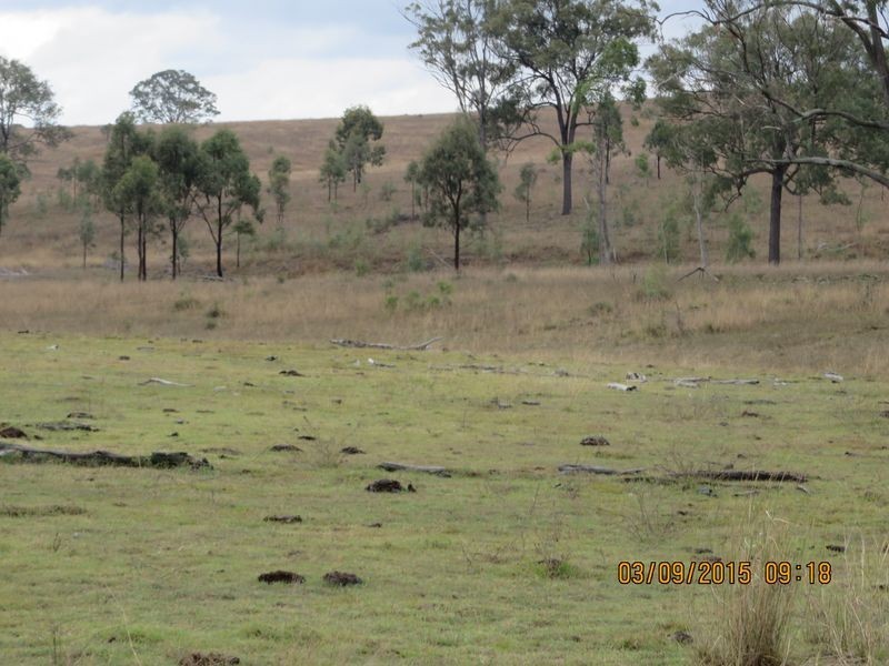 Biggenden QLD 4621