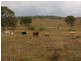 Biggenden QLD 4621