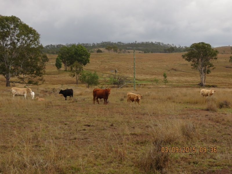 Biggenden QLD 4621