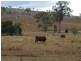 Biggenden QLD 4621
