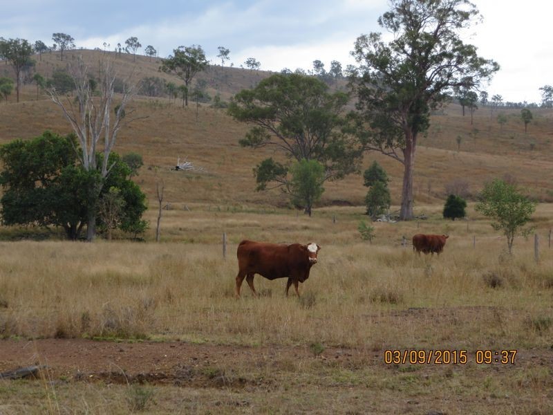 Biggenden QLD 4621