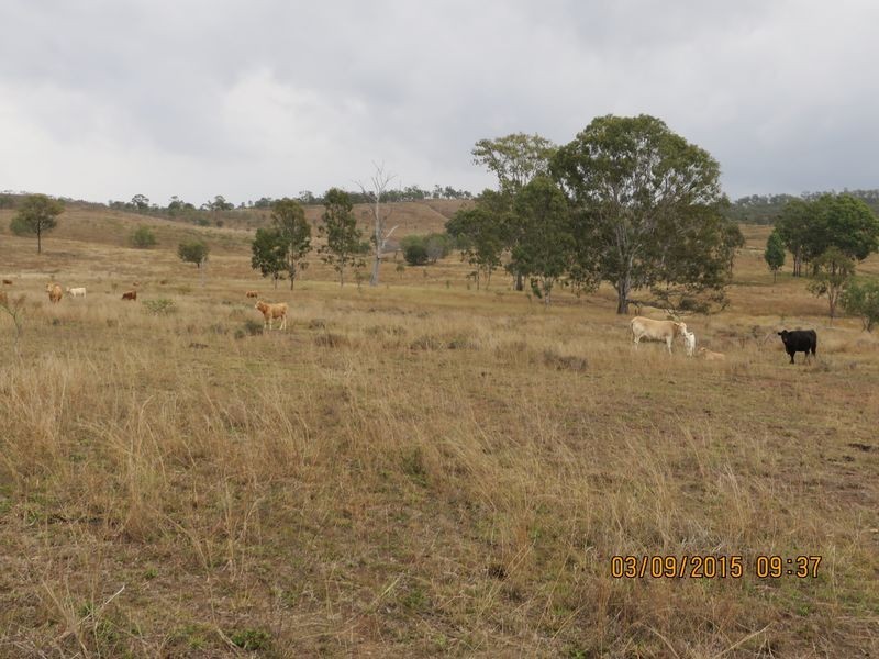 Biggenden QLD 4621