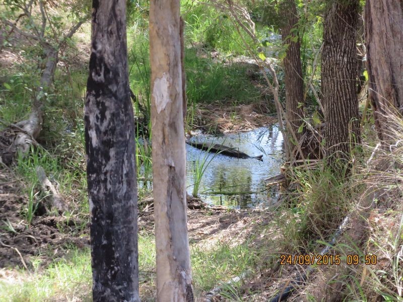 Lot 152 Divers Road, Biggenden QLD 4621