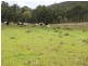 53 Lime Mines Road, Biggenden QLD 4621