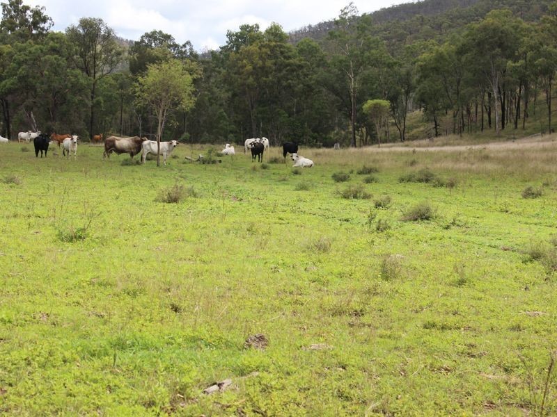 53 Lime Mines Road, Biggenden QLD 4621
