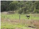 53 Lime Mines Road, Biggenden QLD 4621