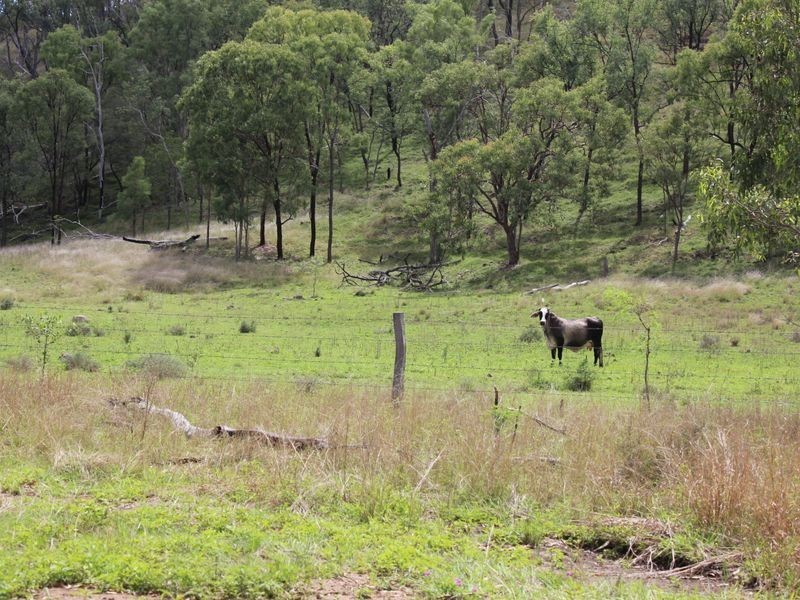 53 Lime Mines Road, Biggenden QLD 4621