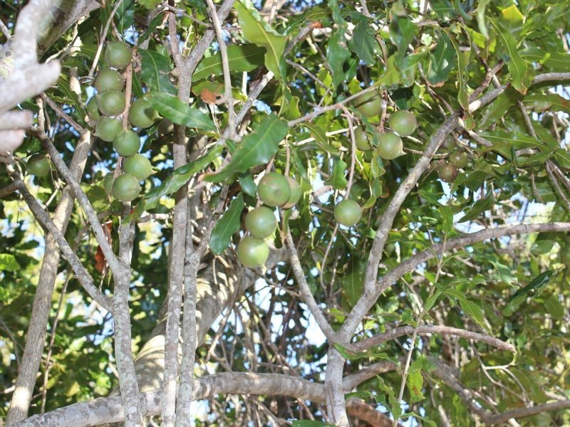 14 Langs Road, Woodmillar QLD 4625