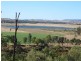 Washpool Brian Pastures Road, Gayndah QLD 4625