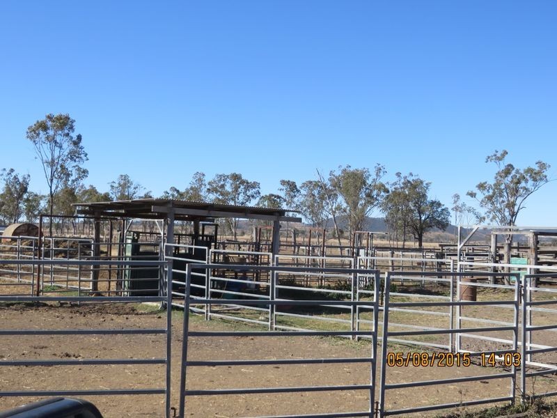 Washpool Brian Pastures Road, Gayndah QLD 4625