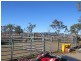 Washpool Brian Pastures Road, Gayndah QLD 4625