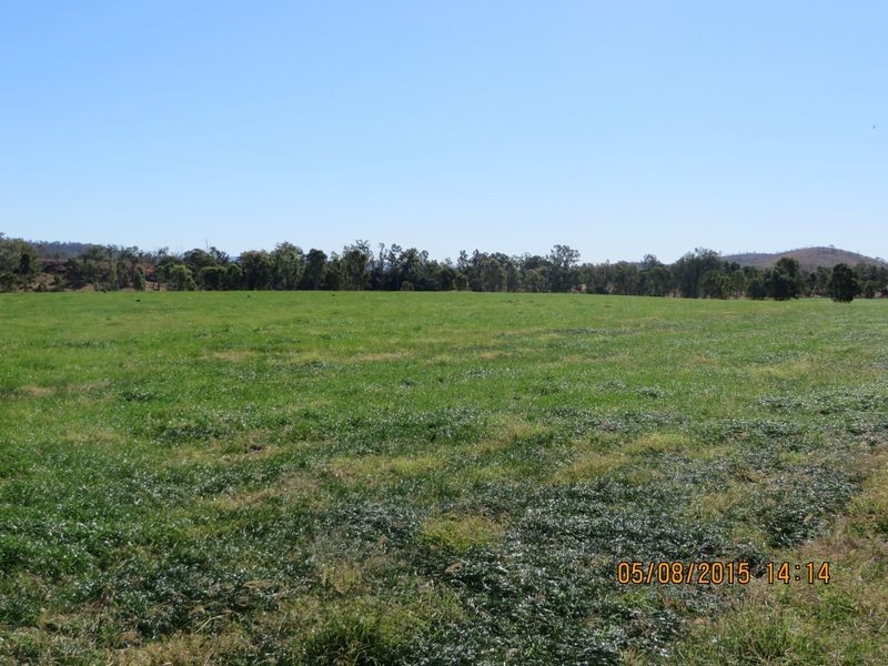 Washpool Brian Pastures Road, Gayndah QLD 4625