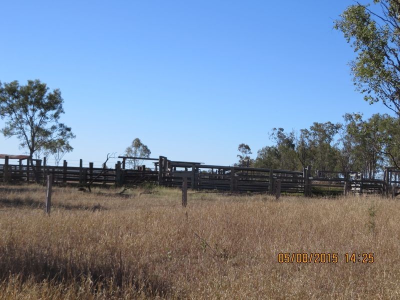 Washpool Brian Pastures Road, Gayndah QLD 4625