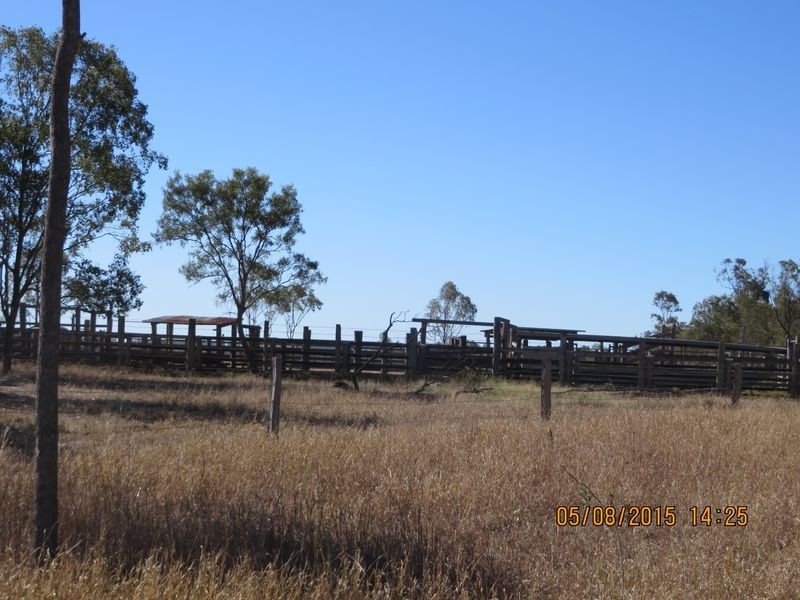 Washpool Brian Pastures Road, Gayndah QLD 4625