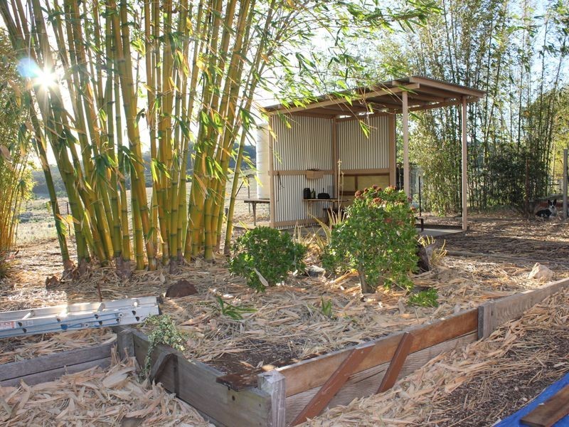 281 Binjour Branch Creek Road, Binjour QLD 4625