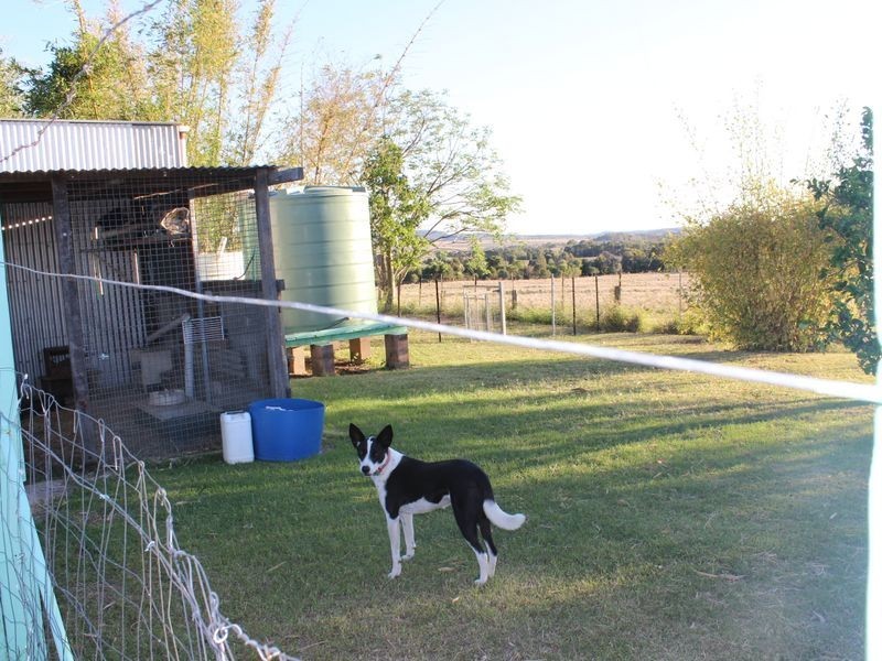 281 Binjour Branch Creek Road, Binjour QLD 4625