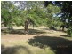 18 Meyer St, Gayndah QLD 4625