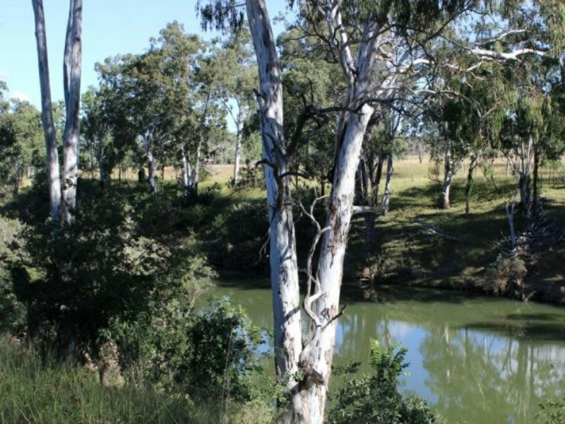 37 Mount Debateable Rd, Gayndah QLD 4625