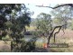 51 Philpott Road, Mundowran QLD 4626
