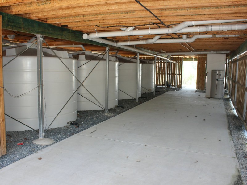 6 Shand Street, Mount Perry QLD 4671