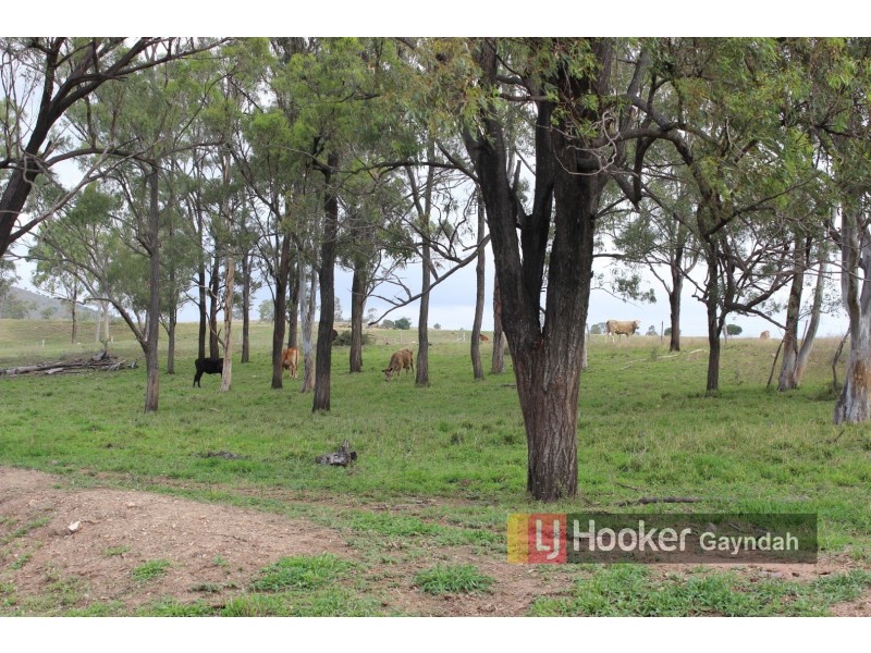 Lot 1 & 2 Hetheringtons Road, Dallarnil QLD 4621