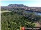 47 Morgans Road, Mount Debateable QLD 4625