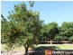 47 Morgans Road, Mount Debateable QLD 4625