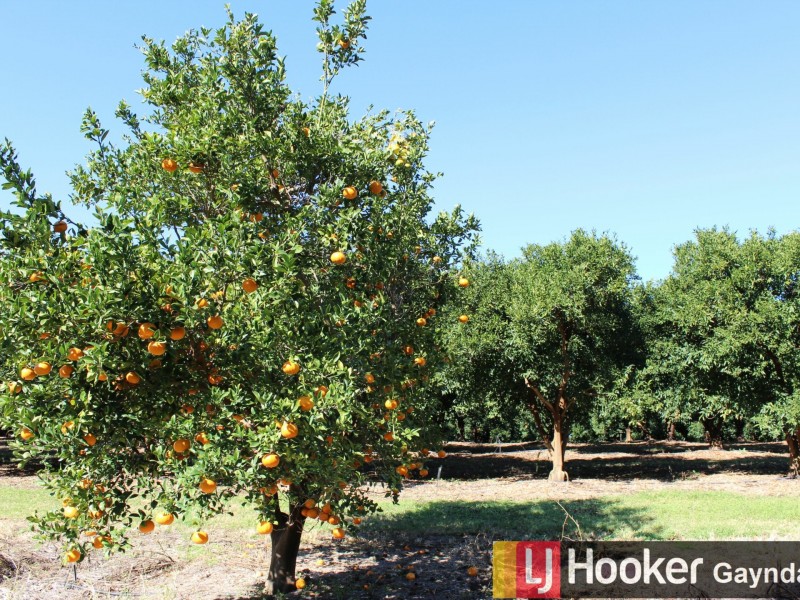 47 Morgans Road, Mount Debateable QLD 4625