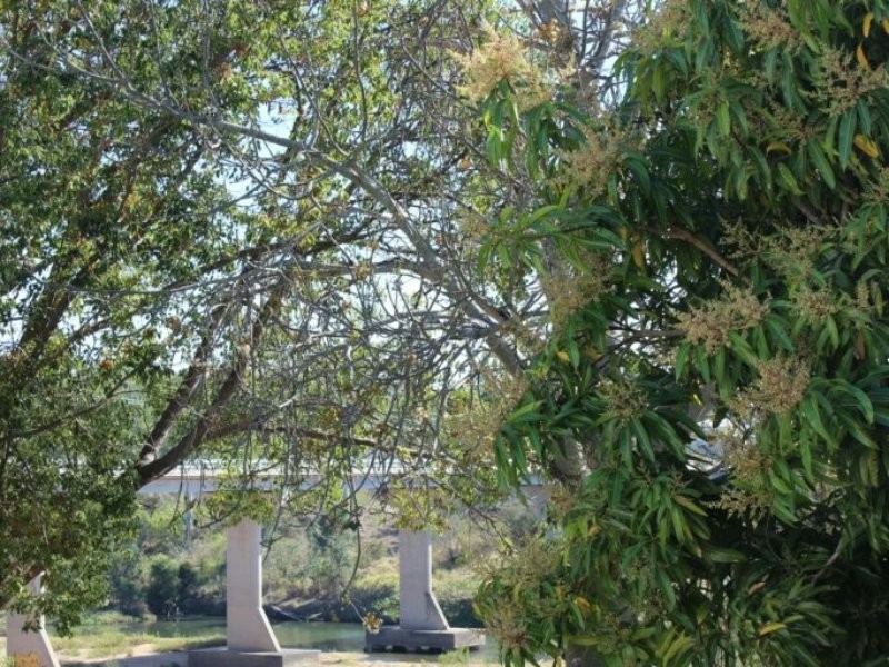 39a Capper street, Gayndah QLD 4625