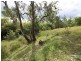Lot 1 Wetheron Benyenda Road, Wetheron QLD 4625