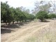 1 Coonambula Road, Mundubbera QLD 4626