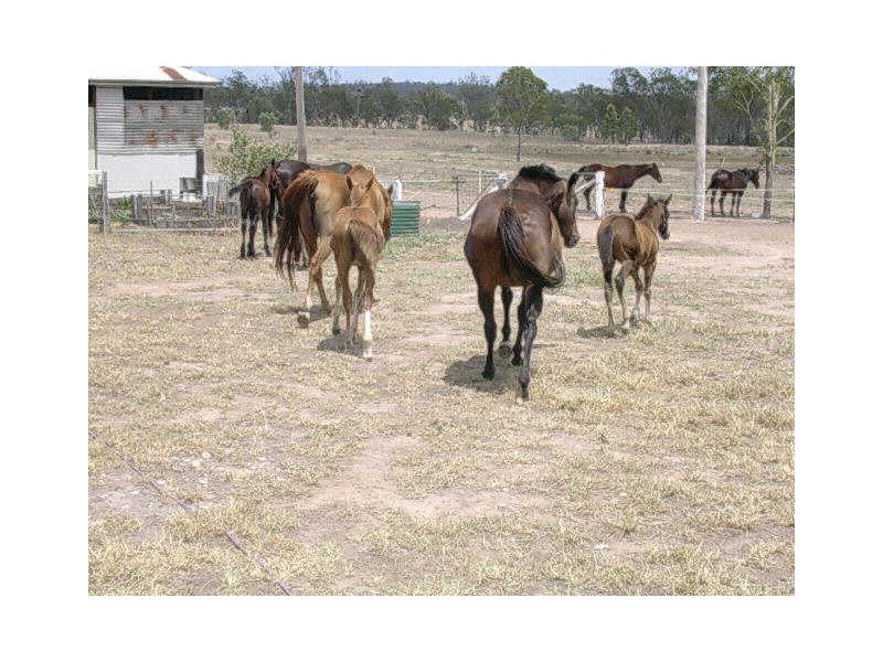32 KERWEE ROAD, Eidsvold QLD 4627