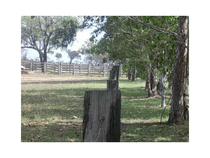 991 MOUNT STEADMAN ROAD, Gayndah QLD 4625