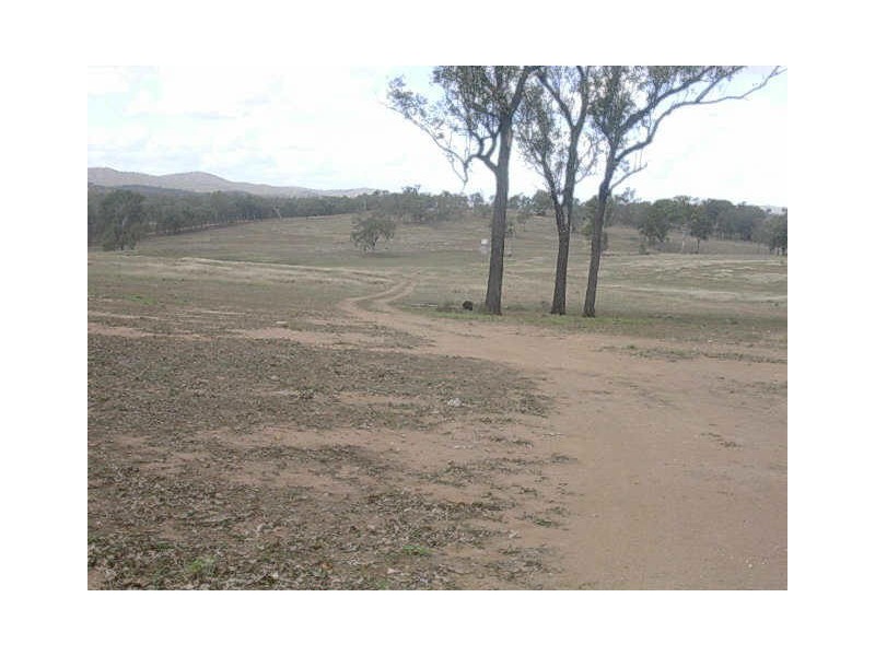 991 MOUNT STEADMAN ROAD, Gayndah QLD 4625