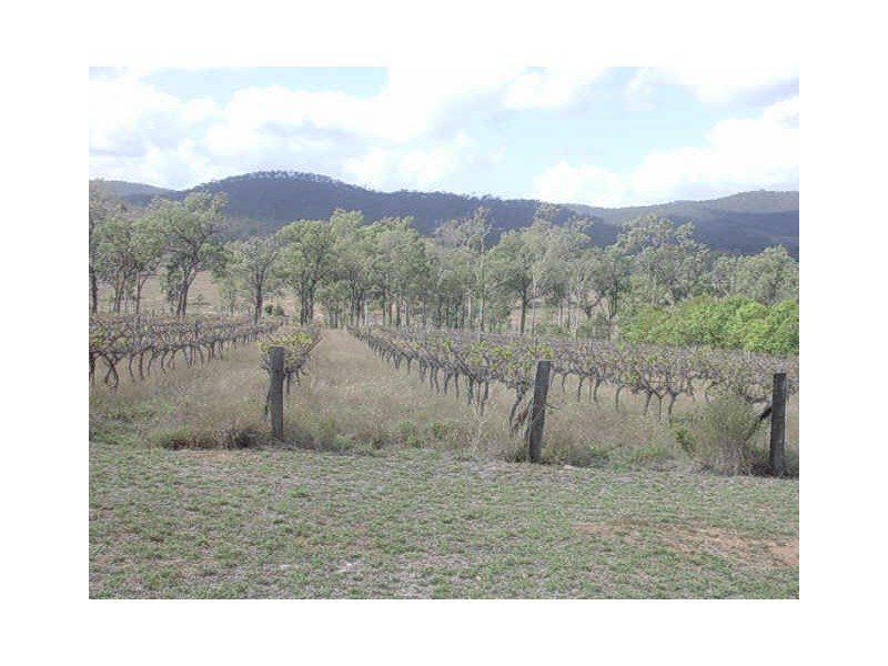 991 MOUNT STEADMAN ROAD, Gayndah QLD 4625