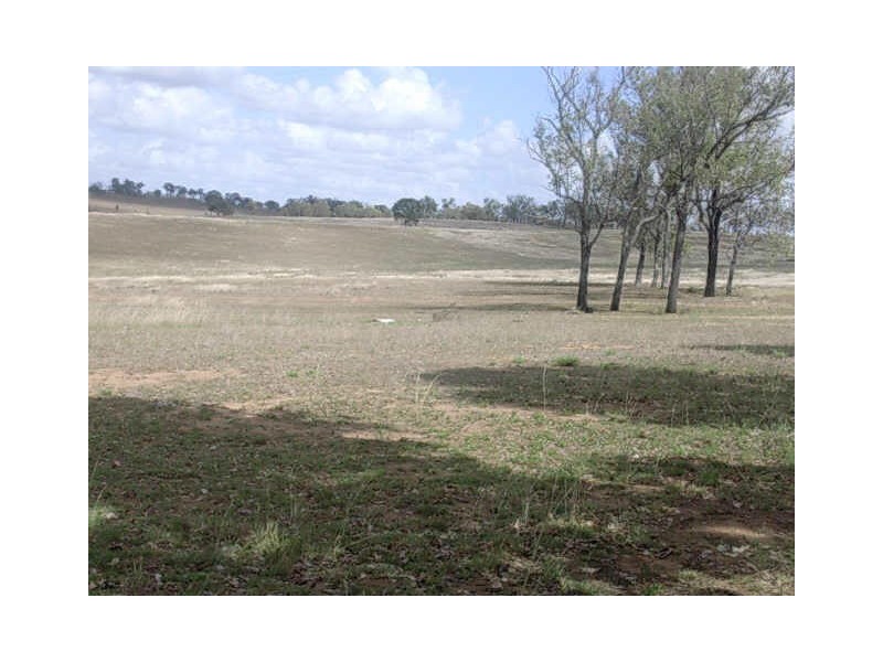 991 MOUNT STEADMAN ROAD, Gayndah QLD 4625