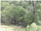 41 Dalgangal Road, Gayndah QLD 4625