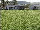 169 TABLELAND ROAD, Gayndah QLD 4625