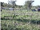 LOT 3 BYRNES PARADE, Byrnestown QLD 4625