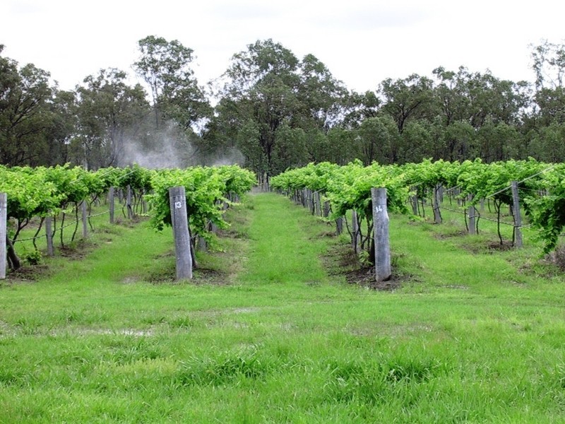 L86 & L44 OBil Bil Road, Eidsvold QLD 4627