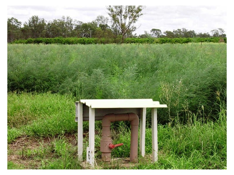 L86 & L44 OBil Bil Road, Eidsvold QLD 4627