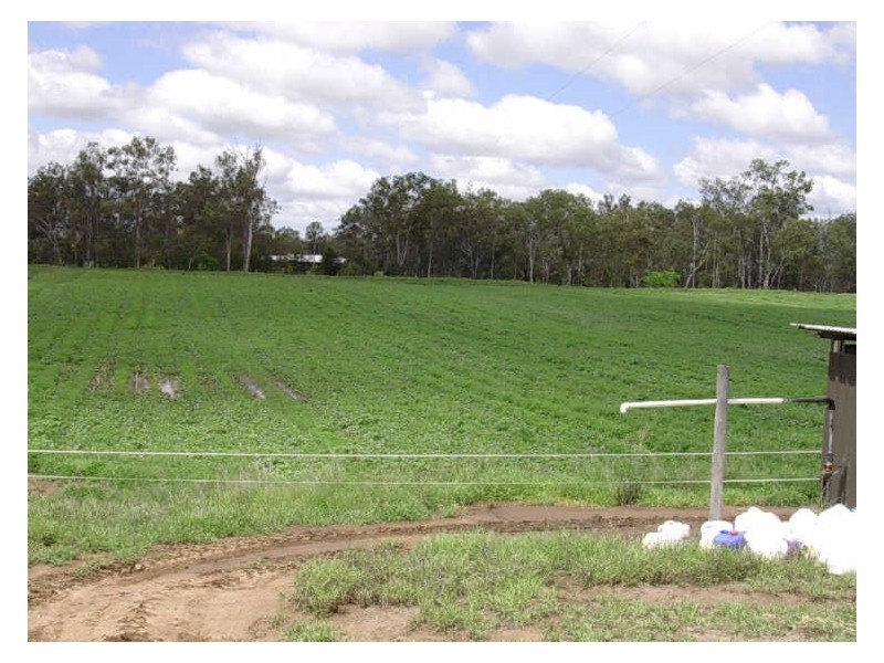L86 & L44 OBil Bil Road, Eidsvold QLD 4627