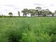 L86 & L44 OBil Bil Road, Eidsvold QLD 4627