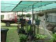 9 Mingo Street, Gooroolba QLD 4625