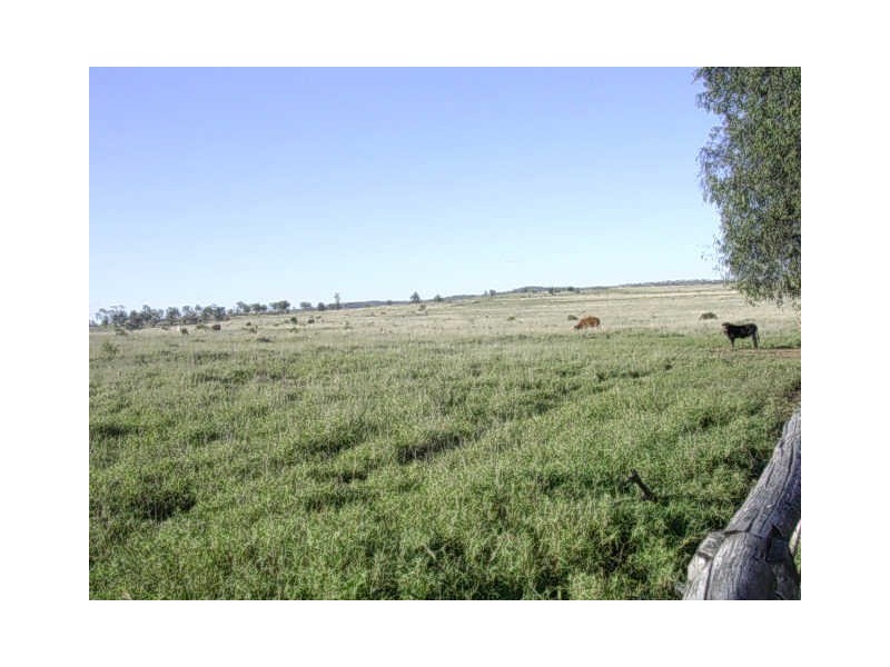 600 Coonabula-Eidsvold Road, Mundubbera QLD 4626