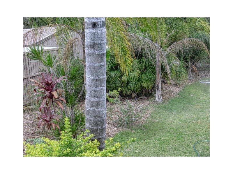 78 BARROW STREET, Gayndah QLD 4625