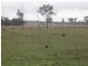 LOT 80 GAYNDAH- MOUNT PERRY ROAD, Byrnestown QLD 4625