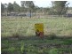 LOT 3 BYRNES PARADE, Byrnestown QLD 4625