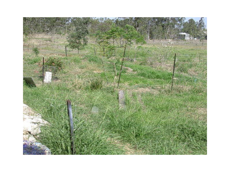 21 DOWNING STREET, Gayndah QLD 4625