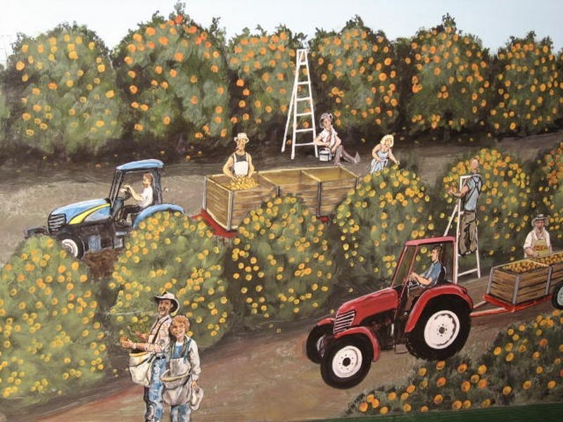 3 Mick Lutvey Street., Gayndah QLD 4625